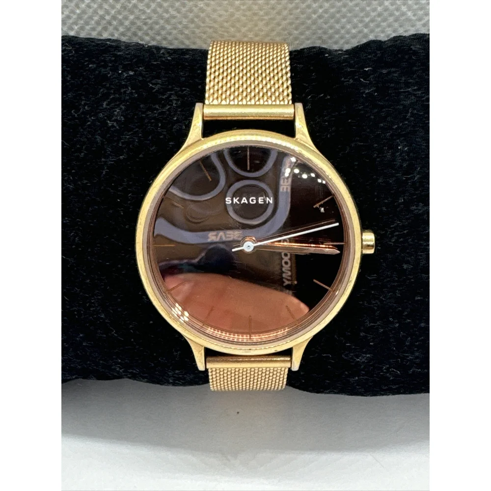 Skagen Anita SKW2413 Women's Gold Stainless Steel Mesh Analog Dial Watch AEA303